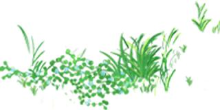 鸿业家具集团 鸿业家具集团