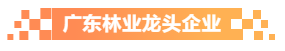 廣東林業龍頭企業